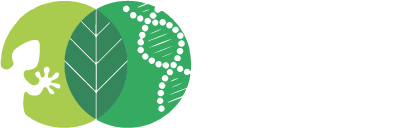 ética y universidad