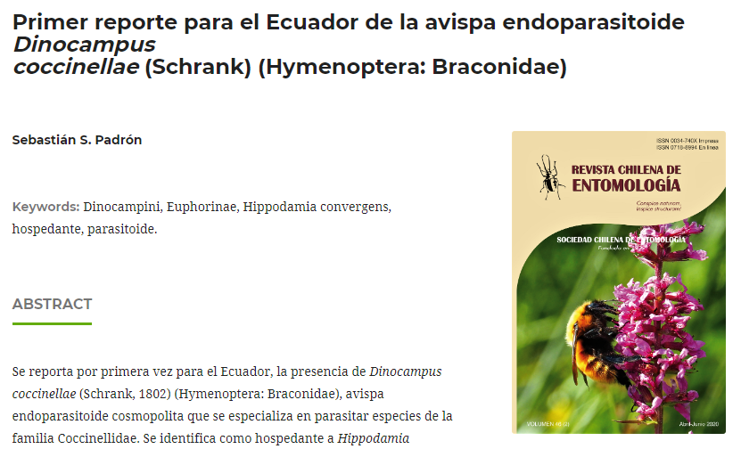 Primer registro para el Ecuador de la avispa endoparasitoide Dinocapus coccinellae (Schrank) (Hymenoptera:Bracoidae)