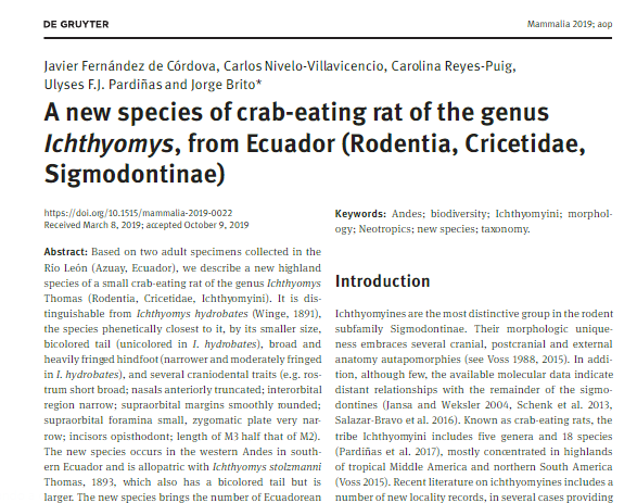 A new species of crab-eating rat of the genus Ichthyomys, from Ecuador (Rodentia, Cricetidae, Sigmodontininae).