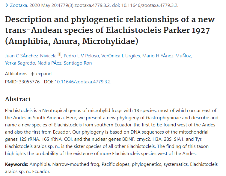 Description and phylogenetic relationships of a new trans-Andean species of Elachistocleis Parker 1927 (Amphibia, Anura, Microhylidae)