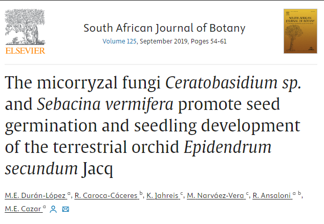 The micorryzal fungi Ceratobasidium sp. and Sebacina vermifera promote seed germination and seedling development of the terrestrial orchid Epidendrum secundum