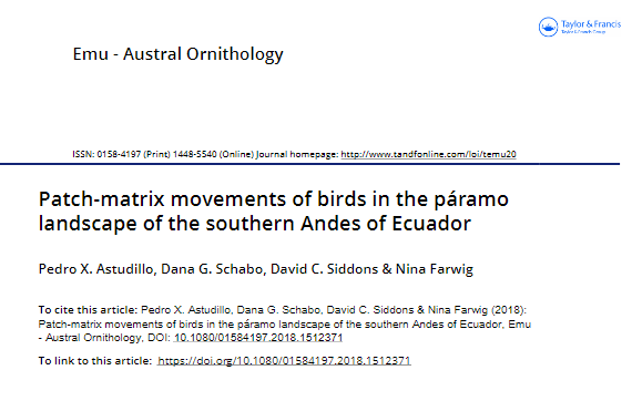 Patch-Matrix Movements of Birds in the Páramo Landscape of the Southern Andes of Ecuador