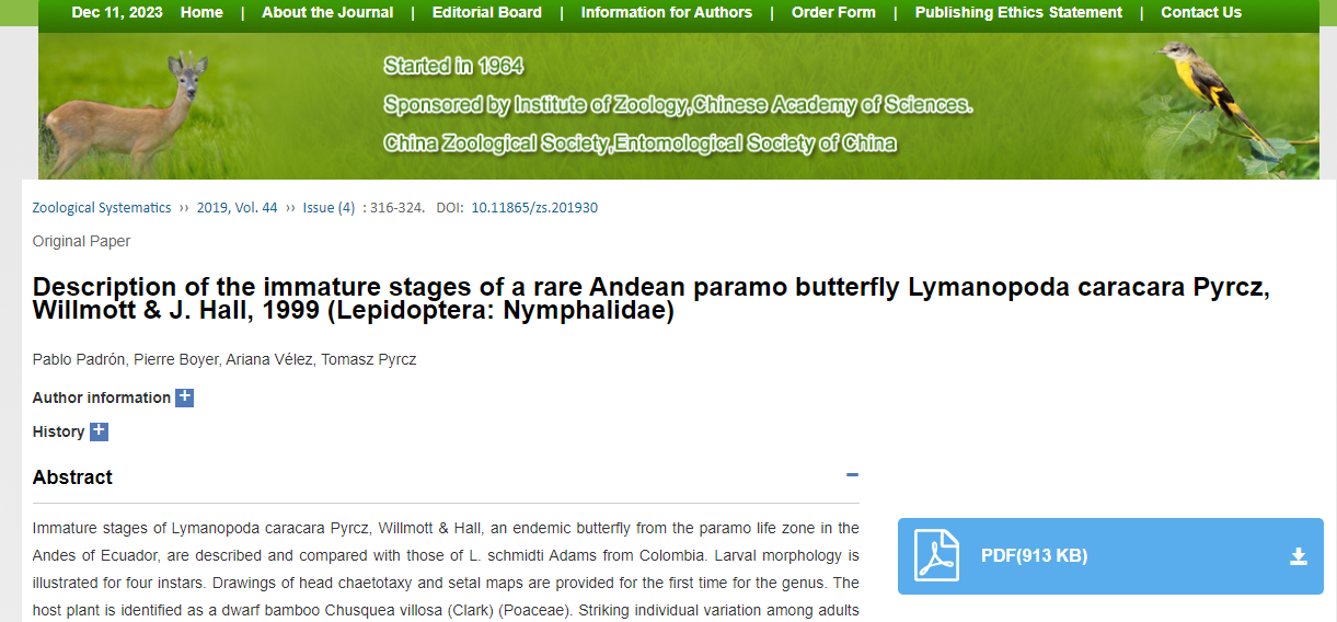 Description of the immature stages of a rare Andean paramo butterfly Lymanopoda caracara Pyrzc, Willmott & J. Hall, 1999 (Lepidoptera: Nymphalidae).