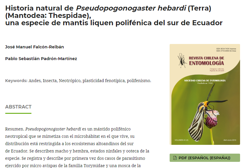 Historia natural de Pseudopogonogaster hebardi, Terra (Mantodea: Thespidae), una especie de mantis liquen polifénica del sur del Ecuador.