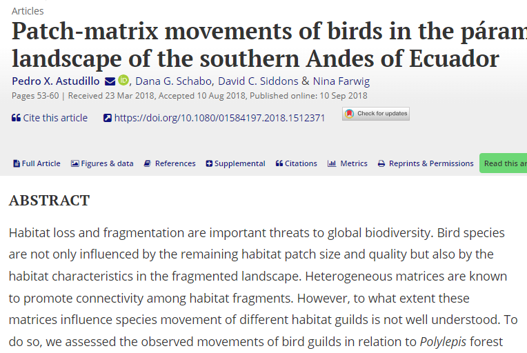 Patch-matrix movements of birds in the páramo landscape of the southern Andes of Ecuador