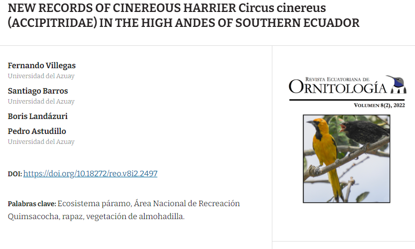 New records of Cinereous Harrier Circus cinereus (Accipitridae) in the high Andes of southern Ecuador
