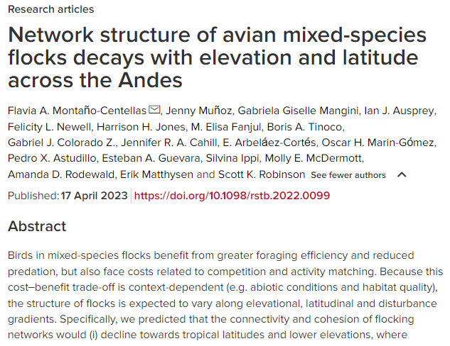 Network structure of avian mixed-species flocks decays with elevation and latitude across the Andes