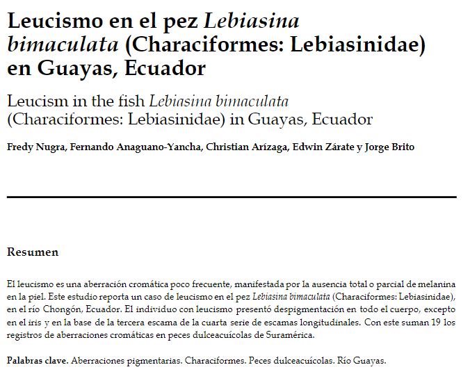 Leucismo en el pez Lebiasina bimaculata (Characiformes: Lebiasinidae) en Guayas, Ecuador