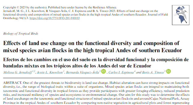 Effects of land use change on the functional diversity and composition of mixed species avian flocks in the high tropical Andes of southern Ecuador