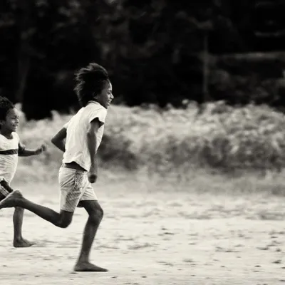 ¿Ecuador transgénico?