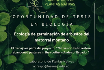 Oportunidad de Tesis Laboratorio de Plantas Nativas