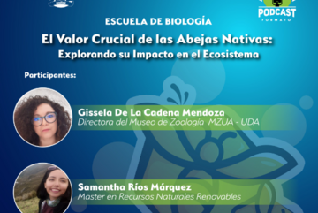 🌿🐝 ¡Descubre el fascinante mundo de las abejas nativas en nuestro nuevo podcast de la Escuela de Biología! 🐝🌿