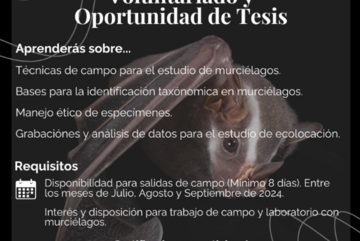 Oportunidad de Voluntariado con el Laboratorio de Ecología Acústica 🦇😎