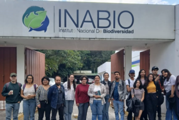 🔬 Explorando la diversidad, evolución y ecología de termitas