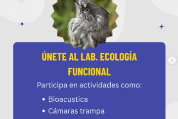 Voluntariado en el Laboratorio de Ecología Funcional!🌱