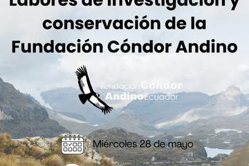 Labores de investigación y conservación de la Fundación Cóndor Andino