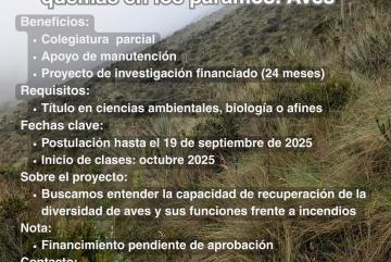 Beca Maestría Recursos Naturales Renovables