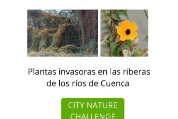 CITY NATURE CHALLENGE  Herbario Azuay🍃