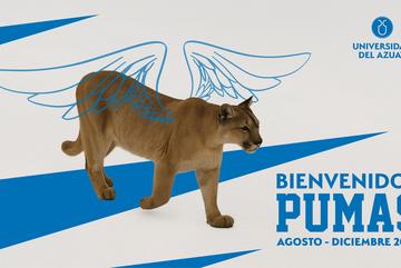 Bienvenidos Pumas Agosto-Diciembre 2025