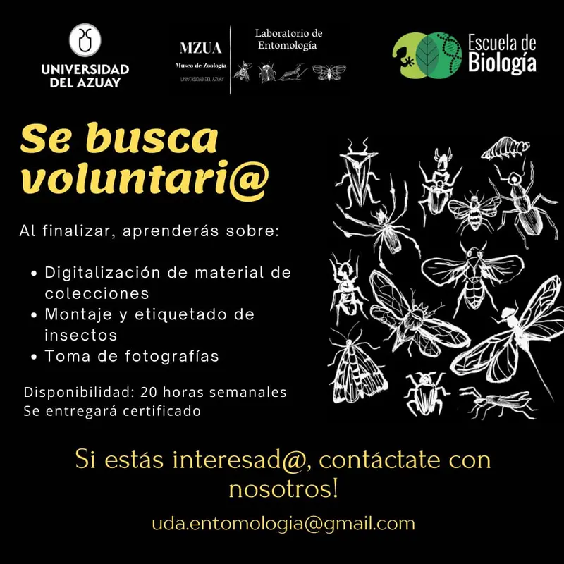 Se busca voluntari@s para el laboratorio de Entomología!