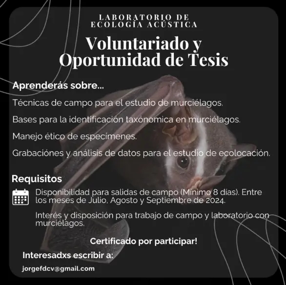 Oportunidad de Voluntariado con el Laboratorio de Ecología Acústica 🦇😎