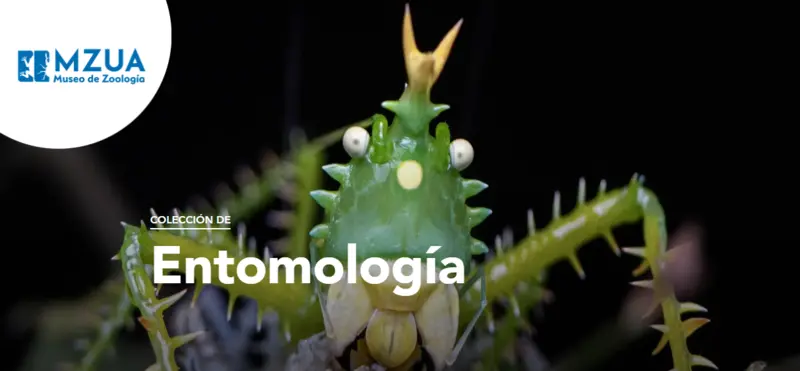 Página Web del Museo de Zoología💯
