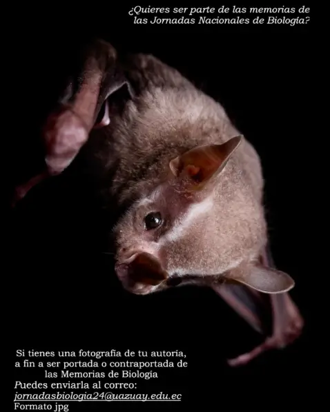 📢 ¡Atención fotógrafos y amantes de la naturaleza! 📸✨