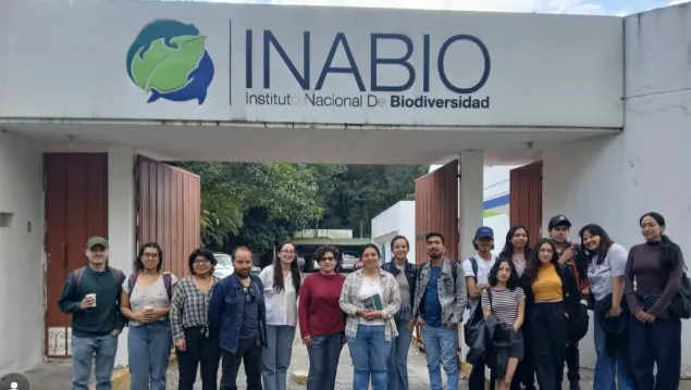 🔬 Explorando la diversidad, evolución y ecología de termitas