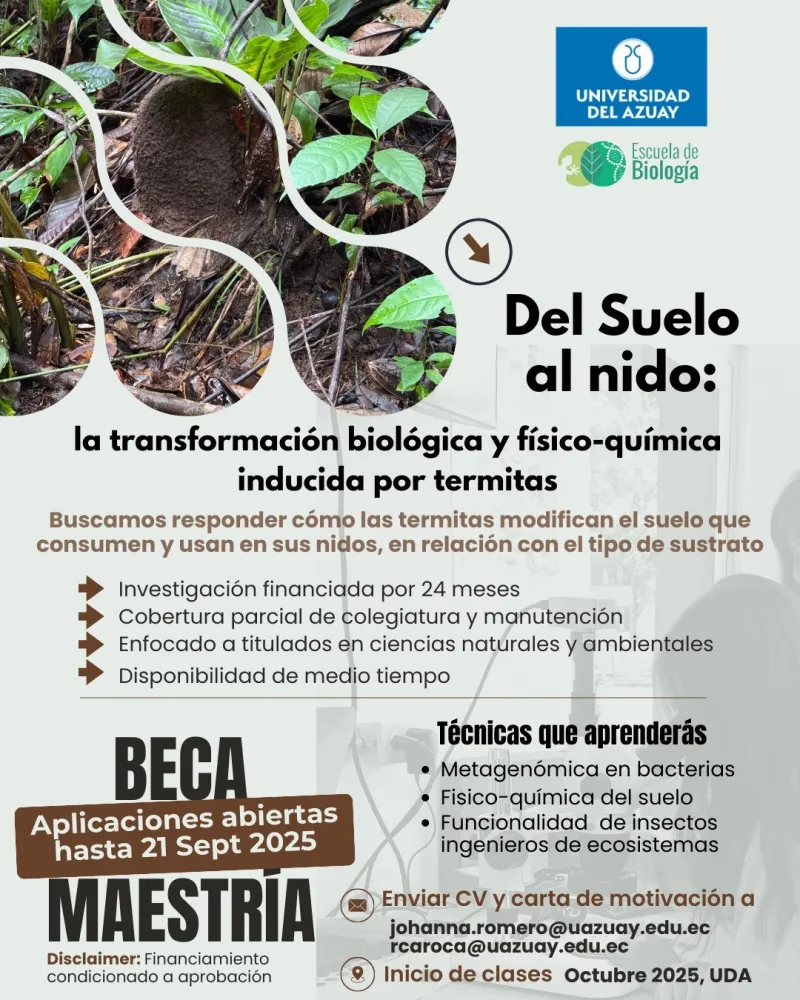 Beca Maestría Recursos Naturales Renovables - Termitas