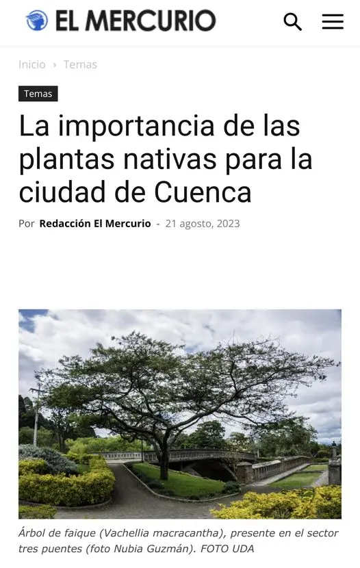 La importancia de las plantas nativas para la ciudad de Cuenca